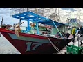 Download Lagu kemaskini pendaratan hasil tangkapan hari Rabu di jeti LKIM Pulau Kambing 