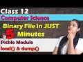 5 Minutes Series Binary File 5 Minutes Revision Class 12 Computer Science Lovejeet Arora