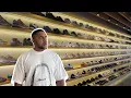 Download Lagu I Spent 10 DAYS Sneaker Shopping In Tokyo! 🇯🇵