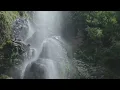 Download Lagu Relaxing Waterfall \u0026 Bird Sounds for Meditation and Deep Focus | Rainy Cafe 🌧🕊