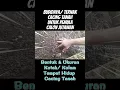 Download Lagu UKURAN KOTAK TERNAK CACING TANAH | Earthworm Farming for Beginners