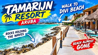 Aruba 🏖️ Beach Erosion 🌊 A Walk from Tamarijn to Divi Beach☀️