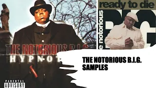 The Notorious B I G Samples 