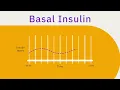 Basal Bolus Therapy Explained