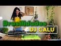 This is Brazil #2 - BRASILIDADES DJ SET | DJ Calu