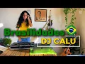 This is Brazil #2 - BRASILIDADES DJ SET | DJ Calu