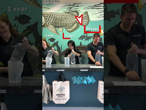 Aquarium Best Fish Packing competition ||(🎥_@aquotixaquariums)