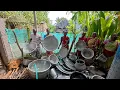 Download Lagu பெரிய சமையலுக்கு பிறகு நாங்கள் செய்யும் கடின வேலைகள் கலகலப்பான கலகலன்னு சத்தத்துடன் எங்களின் வேலைகள்