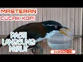 Download Lagu MASTERAN CUCAK KOPI