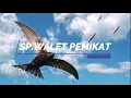 Download Lagu Suara panggil burung WALET 2020 FULL, SP.Pemikat anakan WALET