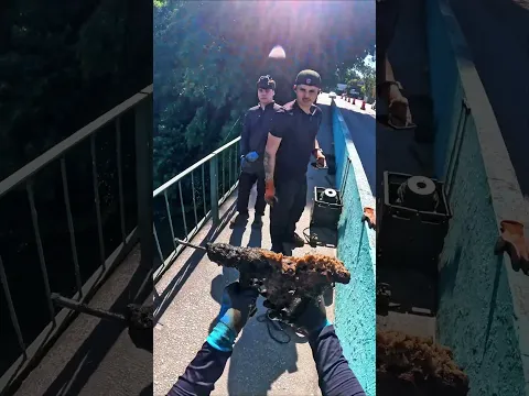 Olha esse xingamento gratuito