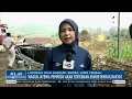 Download Lagu Kebakaran Sumur Minyak Rakyat
