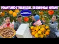 SETELAH 30 TAHUN LEBIH MENUNGGU AKHIRNYA KESEMEK INI BISA DIPANEN, BUAH KIWI JUGA SUDAH MATANG