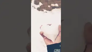 القلب يذكر إخوة من بيننا 