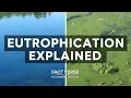 Eutrophication Explained Causes Effects and Solutions Environmental Science