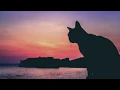 Download Lagu Sebjak \u0026 Fahlberg - Chaka (Original Mix)