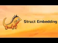 Zig Struct Embed Tutorial 87