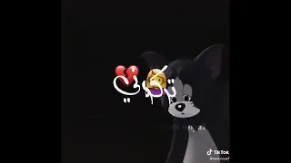 وين القبل حبوني تاليها شو تركوني  وين القبل حبوني تاليها شو تركوني