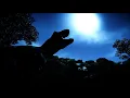 Download Lagu Dino Crisis Opening Scene recreation