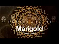 Download Lagu Periphery - Marigold [Tuning: Drop D]