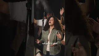 باركي يا نفسي الرب الحياة الأفضل تسبيح دائرة التسبيح  باركي يا نفسي الرب الحياة الأفضل تسبيح دائرة التسبيح