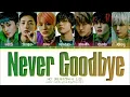 NCT Dream 'Never Goodbye' Lyrics (엔시티 드림 북극성 가사) (Color Coded Lyrics)