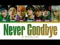 Download Lagu NCT Dream 'Never Goodbye' Lyrics (엔시티 드림 북극성 가사) (Color Coded Lyrics)