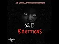 Lagu Sad Emotions 