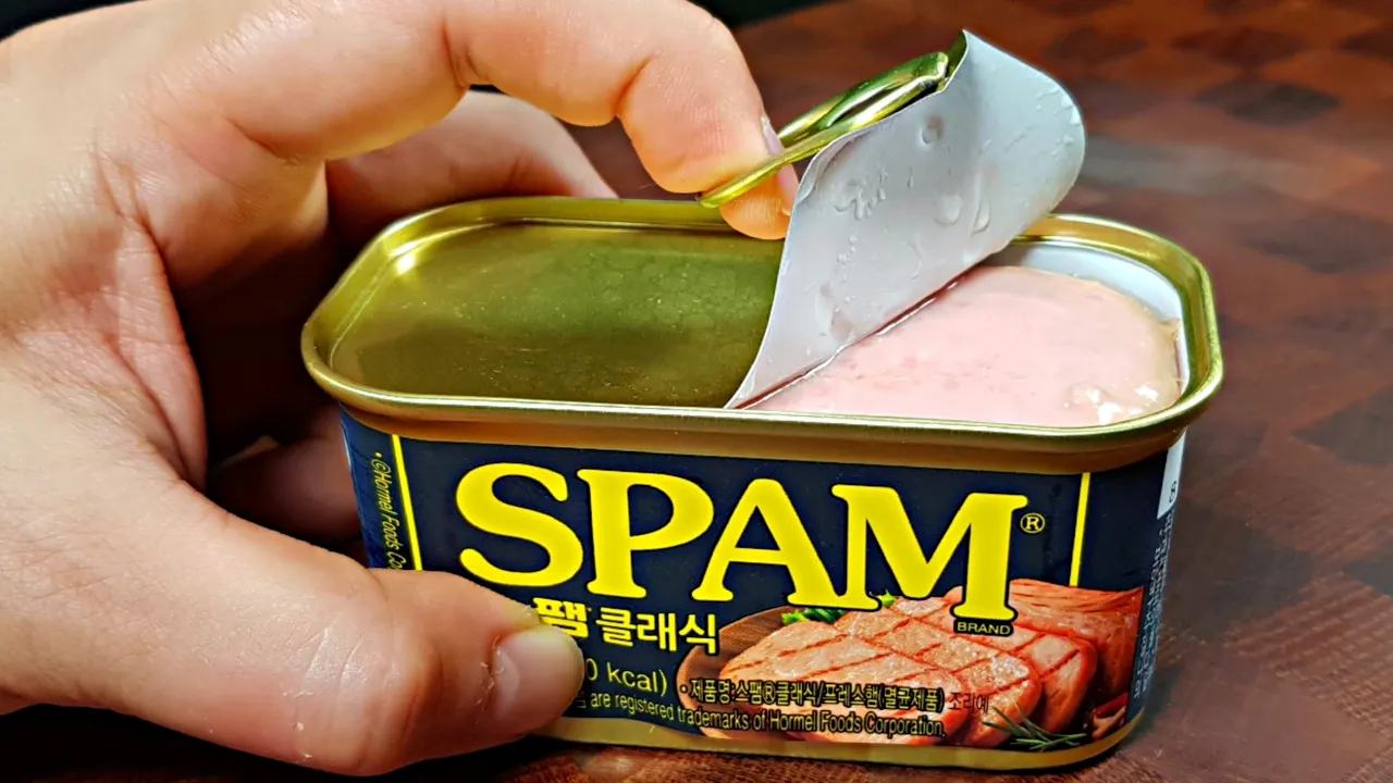 스팸 김치볶음밥