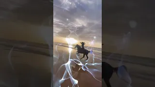 اللي عارف ايه بيضايقني وتملي قاصد يعمله  حالات واتساب  اغاني التسعينات  اشترك بل قناة وفعلو الجرس دندنها