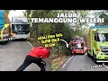 Download Lagu KACAU😵‍💫, NYALI DAN SKIL SUPIR DIUJI DI SINI⁉️Hunting Bus Sore Di Jalur TEMANGGUNG