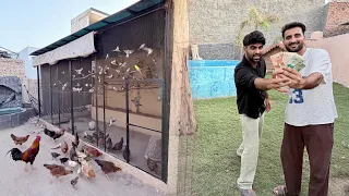 Sabtain Ko Pets Shopping K Paise De Diye🥳Ab Chat Pr New Birds Aen Ge😘