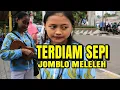 Download Lagu Terdiam sepi (andaikan waktu bisa diputar kembali) lagu sedih buat baper...!!! Lia pengamen Grogol