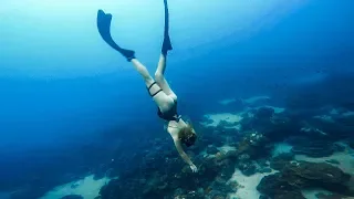 Diving with SHARKS on a PIRATE island | Isla del Coco Adventure III | EP52