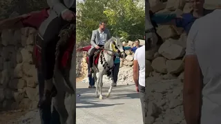 زفة العريس ثائر البعيرات عازف الايقاع ابو سليمان شاعر القصب عثمان القرشي 