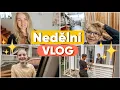 Download Lagu ✨NEDĚLNÍ VLOG | stavíme voliéru pro Mícu😻, Co se stalo Vicky? 😡Zavařuji