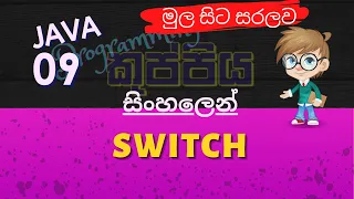 Switch Statements Java Sinhala Tutorial Part 09