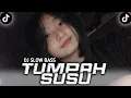 Download Lagu dj TUMPAH SUSU | viral tik tok terbaru • 2023