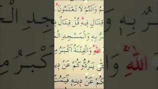 سورة البقرة الأية 217 القارئ مشاري راشد العفاسي 