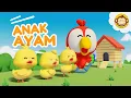 Download Lagu Anak Ayam | Tek Kotek🐤 Lagu Anak Anak | Lagu Anak Indonesia Balita