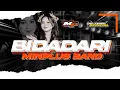 Download Lagu DJ BIDADARI STYLE BASS BEDIL - [ MINIPLUS BAND ] • D2 TEAM OFFICIAL