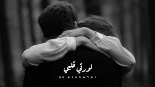 حالات واتس مدحت صالح نورتي قلبي Medhat Saleh 