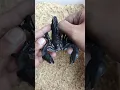 Lagu black scorpion #mainan #music #animals #toys