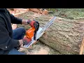 STIHL MS 251 WOOD BOSS vs 25 log
