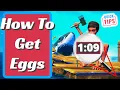 Raft - How To Get Eggs