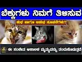 Download Lagu Nandi Tv Karnataka | Auspicious and inauspicious signs given by cats This symbol is an indication of death. Download Lagu Nandi Tv Karnataka | Auspicious and inauspicious signs given by cats This symbol is an indication of death.