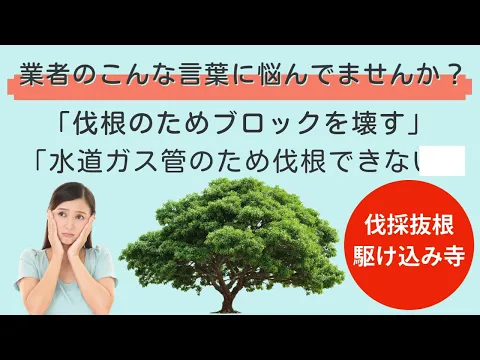 【伐採抜根駆込み寺=商標申請】他社だったら壊したブロック残し抜根して頂けました！