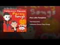 Five Little Pumpkins - The Kiboomers