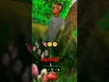 Download Lagu Prem mathe Pani fari gayu new WhatsApp status Vishal hapor#trending #youtubeshorts