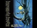 Download Lagu Iron Maiden - 1992 - Fear Of The Dark © [Full Album] © Vinyl Rip [2×LP]